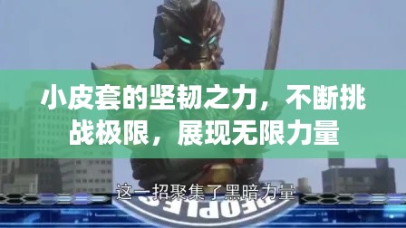 小皮套的坚韧之力,不断挑战极限,展现无限力量