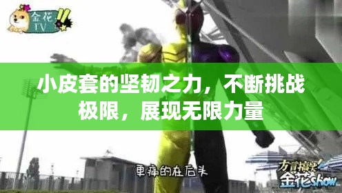 小皮套的坚韧之力,不断挑战极限,展现无限力量