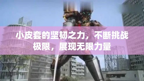 小皮套的坚韧之力,不断挑战极限,展现无限力量