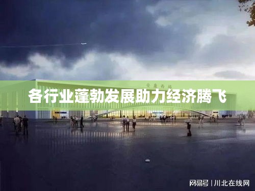 各行业蓬勃发展助力经济腾飞