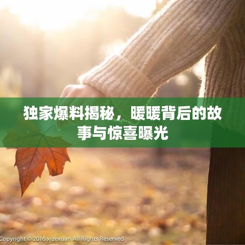 独家爆料揭秘,暖暖背后的故事与惊喜曝光