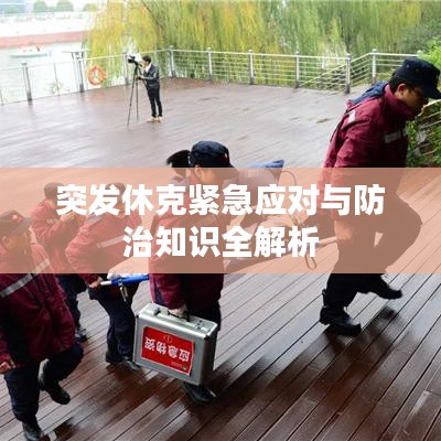 突发休克紧急应对与防治知识全解析