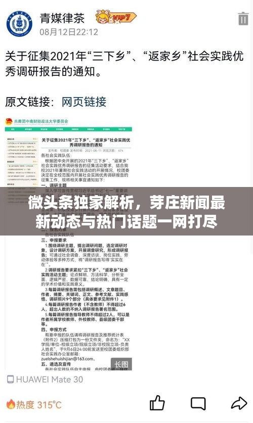 微头条独家解析，芽庄新闻最新动态与热门话题一网打尽