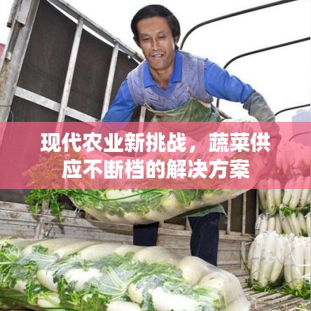 现代农业新挑战,蔬菜供应不断档的解决方案