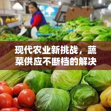 现代农业新挑战,蔬菜供应不断档的解决方案