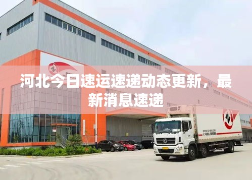 河北今日速运速递动态更新，最新消息速递