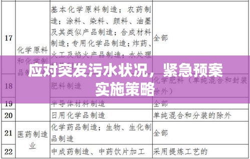 应对突发污水状况,紧急预案实施策略