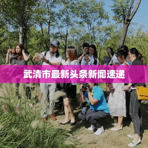 武清市最新头条新闻速递