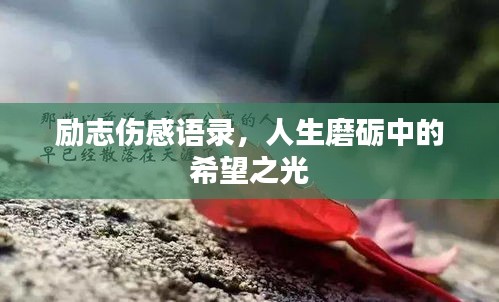 励志伤感语录,人生磨砺中的希望之光