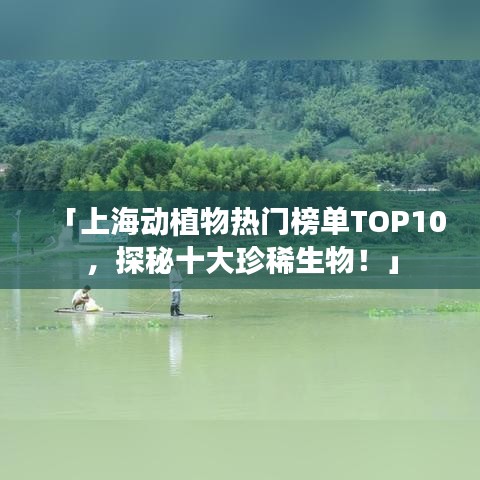 「上海动植物热门榜单TOP10,探秘十大珍稀生物!」