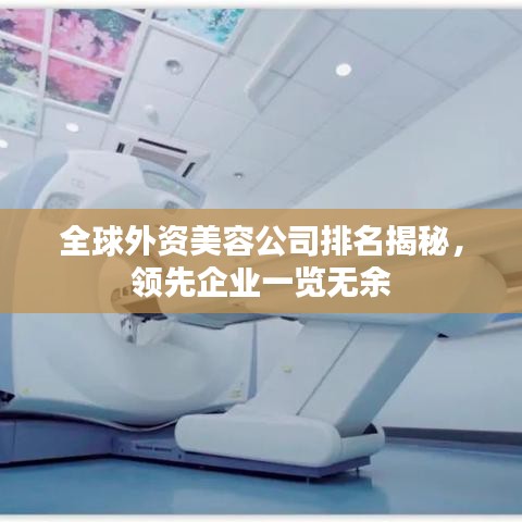 全球外资美容公司排名揭秘,领先企业一览无余