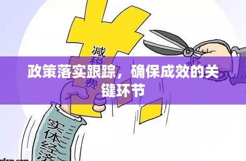 政策落实跟踪,确保成效的关键环节