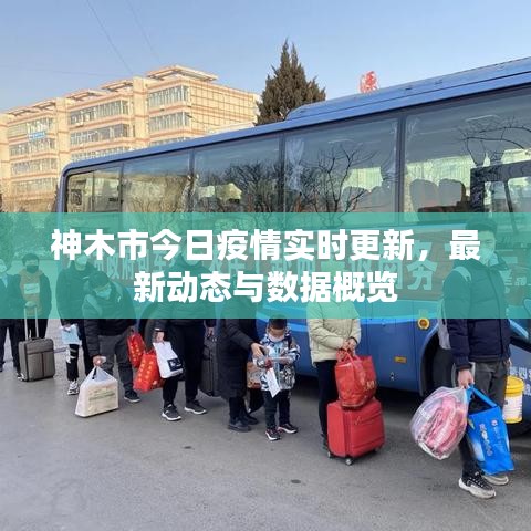 神木市今日疫情实时更新，最新动态与数据概览