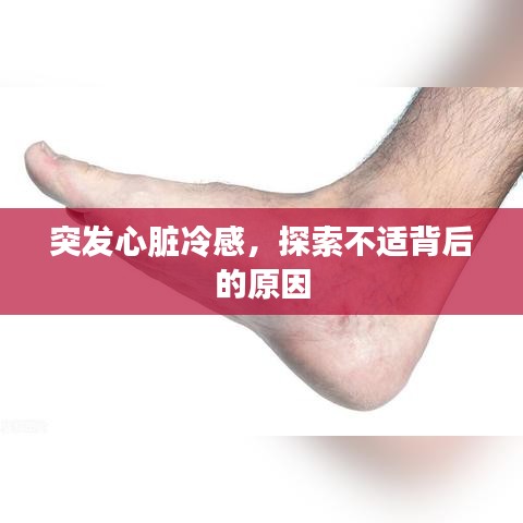 突发心脏冷感,探索不适背后的原因