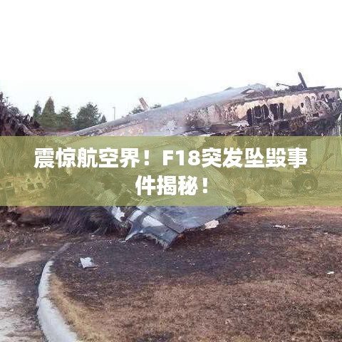 堂而皇之 第3页