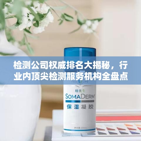 检测公司权威排名大揭秘，行业内顶尖检测服务机构全盘点