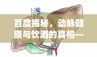 百度揭秘,动脉健康与饮酒的真相——饮酒过量对动脉健康的隐患