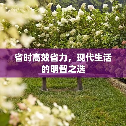 省时高效省力,现代生活的明智之选