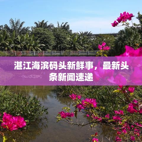 绝无仅有 第3页