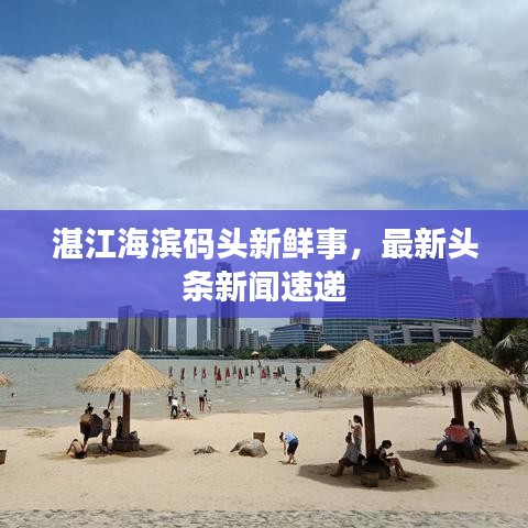 湛江海滨码头新鲜事,最新头条新闻速递