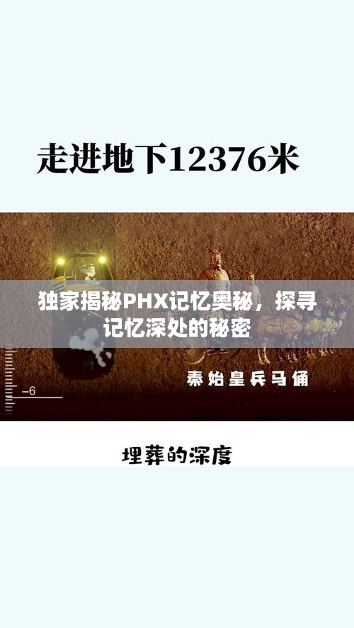 独家揭秘PHX记忆奥秘，探寻记忆深处的秘密