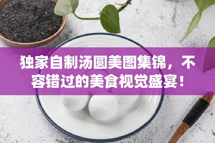 独家自制汤圆美图集锦，不容错过的美食视觉盛宴！