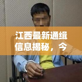江西最新通缉信息揭秘,今日追捕行动重磅更新