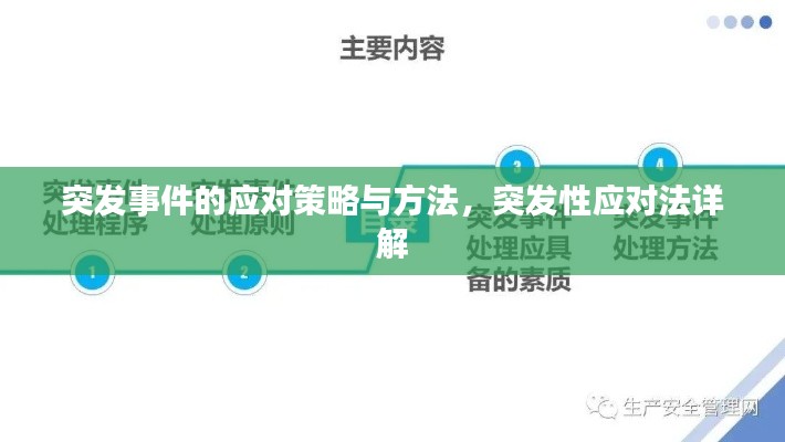 突发事件的应对策略与方法,突发性应对法详解