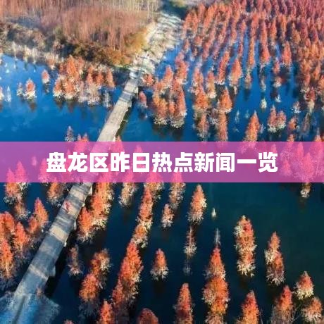 盘龙区昨日热点新闻一览