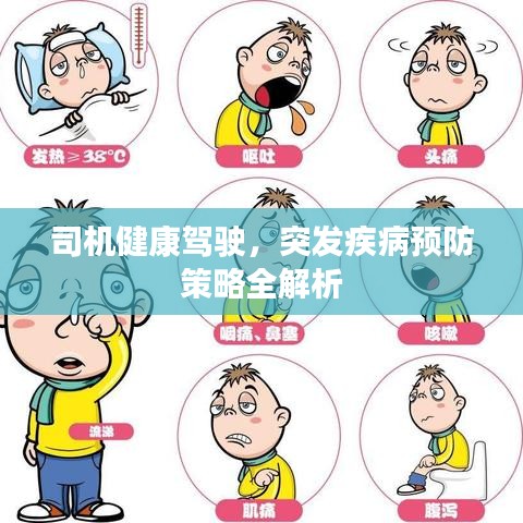 司机健康驾驶，突发疾病预防策略全解析