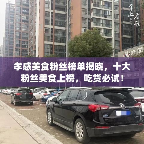 孝感美食粉丝榜单揭晓,十大粉丝美食上榜,吃货必试!