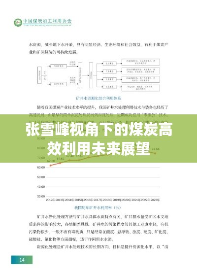 张雪峰视角下的煤炭高效利用未来展望