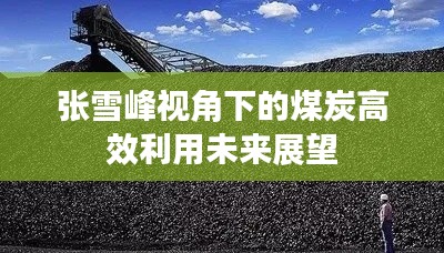 张雪峰视角下的煤炭高效利用未来展望
