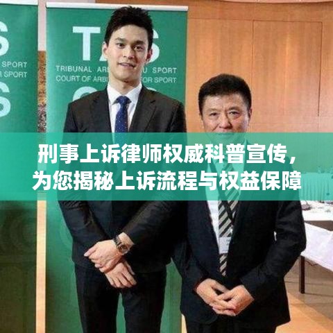 刑事上诉律师权威科普宣传，为您揭秘上诉流程与权益保障