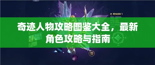 奇迹人物攻略图鉴大全，最新角色攻略与指南