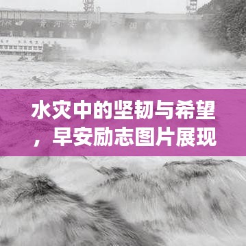 独一无二 第3页