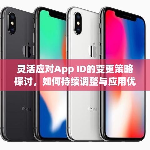 灵活应对App ID的变更策略探讨，如何持续调整与应用优化