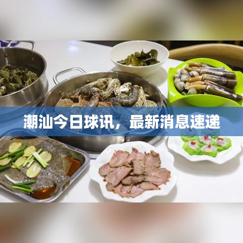 潮汕今日球讯,最新消息速递