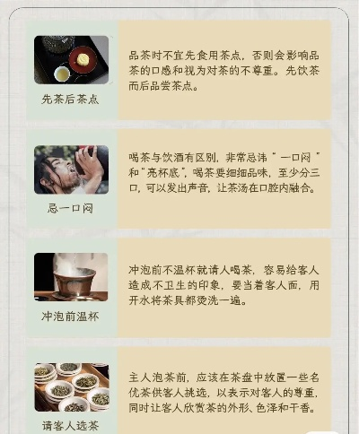 品茗最新版本选择指南,为入门与专业人士量身打造