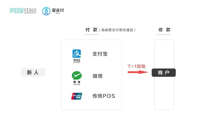 非凡支付官方下载,可靠设计策略解析_静态版1_v9.370