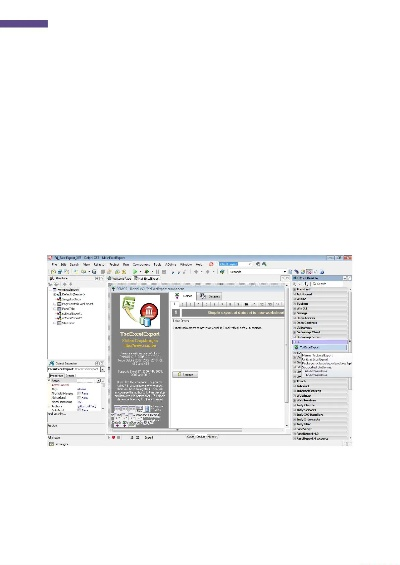 delphi官方下载,定性评估说明_专业款_v4.963