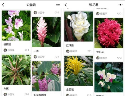 手游网名男跟官方拍照识花软件下载,高效设计计划&GM版_v5.256