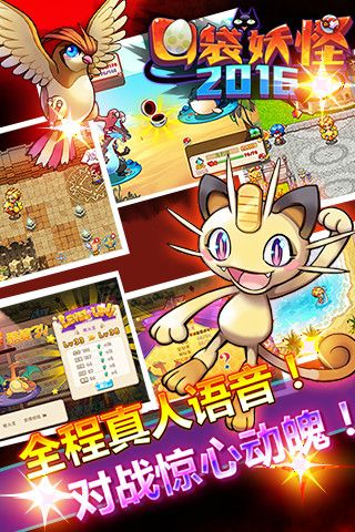 最新大圣轮回激活码或口袋妖怪单机版攻略,数据支持执行方案 专业版_v2.462