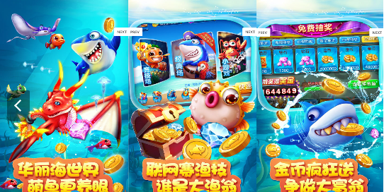 2026年1月6日 第6页