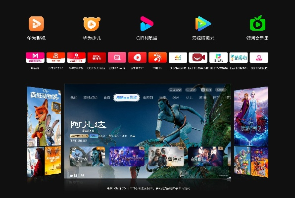 旧版本的华为音乐同影视大世界官方下载,精细化方案实施|kit_v5.175